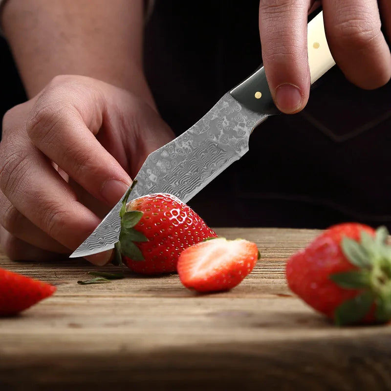 InLeung VG10 Damascus Steel Kitchen Knife – Wood Handle