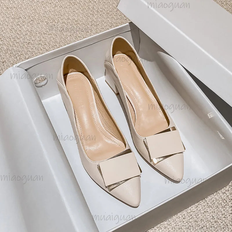 Women's Low Heel Pumps – Pointed Toe Slip-On Dress Shoes