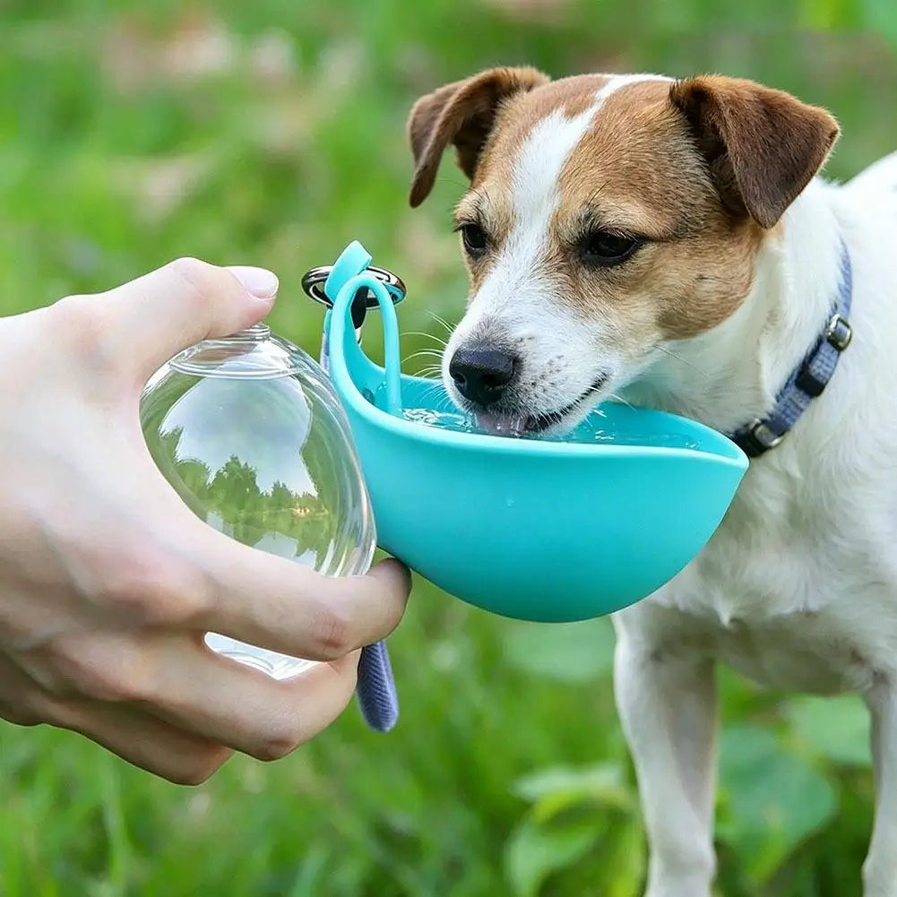 2-in-1 Pet Silicone Hiking Feeders Creative Portable Outdoor Water