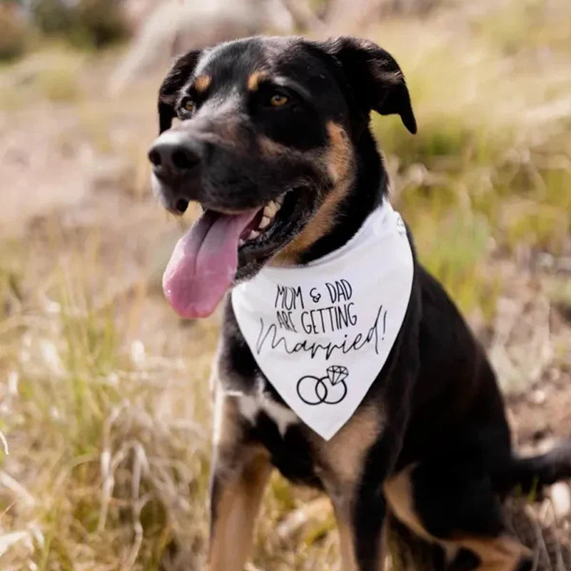 Dog Wedding Bandana – Mom & Dad Are Getting Married Pet Scarf