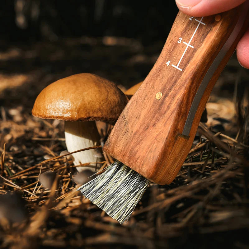 Mini Mushroom Foraging Knife – Rosewood Handle & Brush