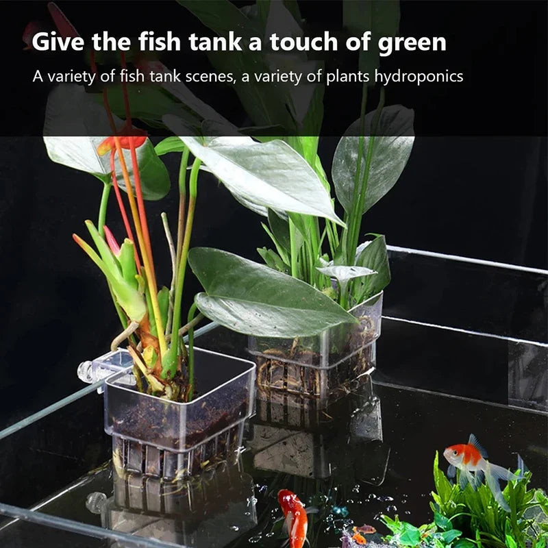 Wall-Mounted Aquarium Planter Cup – Fish Tank Plant Holder