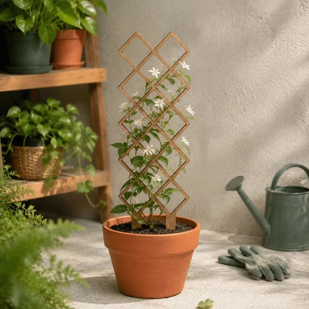 Wooden Plant Trellis | Geometric Climbing Vine Support Frame