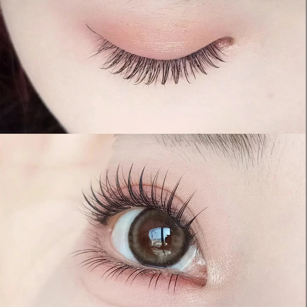Korean Idol Manga Cluster Lashes | Wispy 3D Lash Extensions