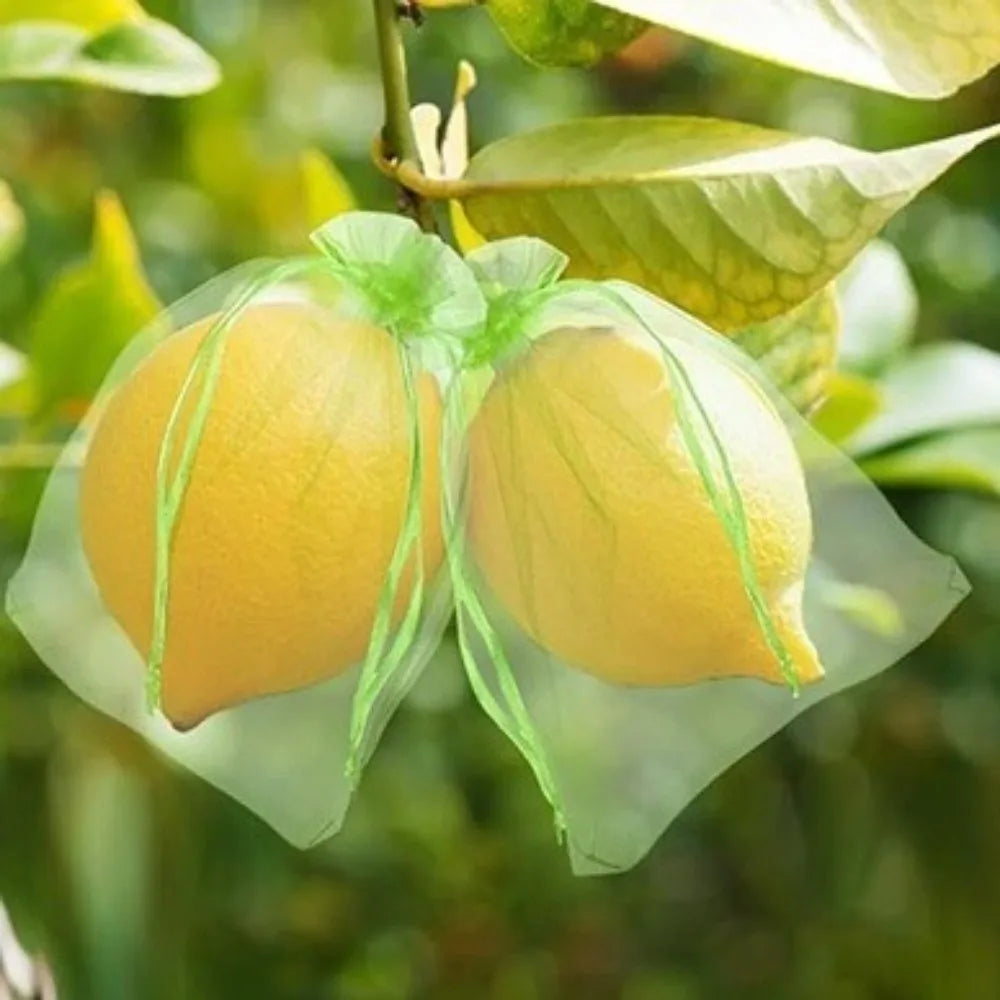 100-Pack Organza Fruit Protection Bags with Drawstring | Grape Covers