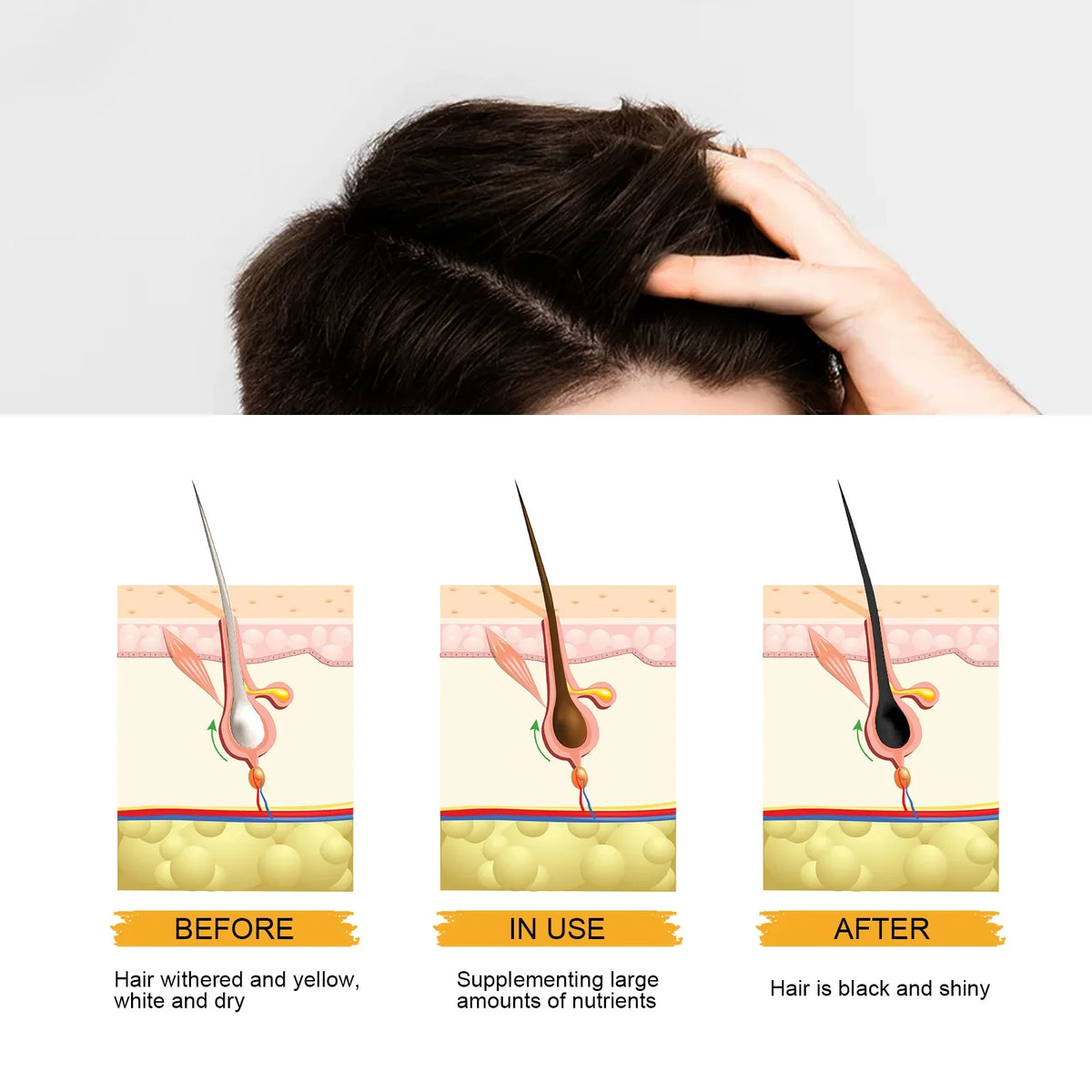 East Moon Hair Darkening Shampoo Bar | He Shou Wu Polygonum