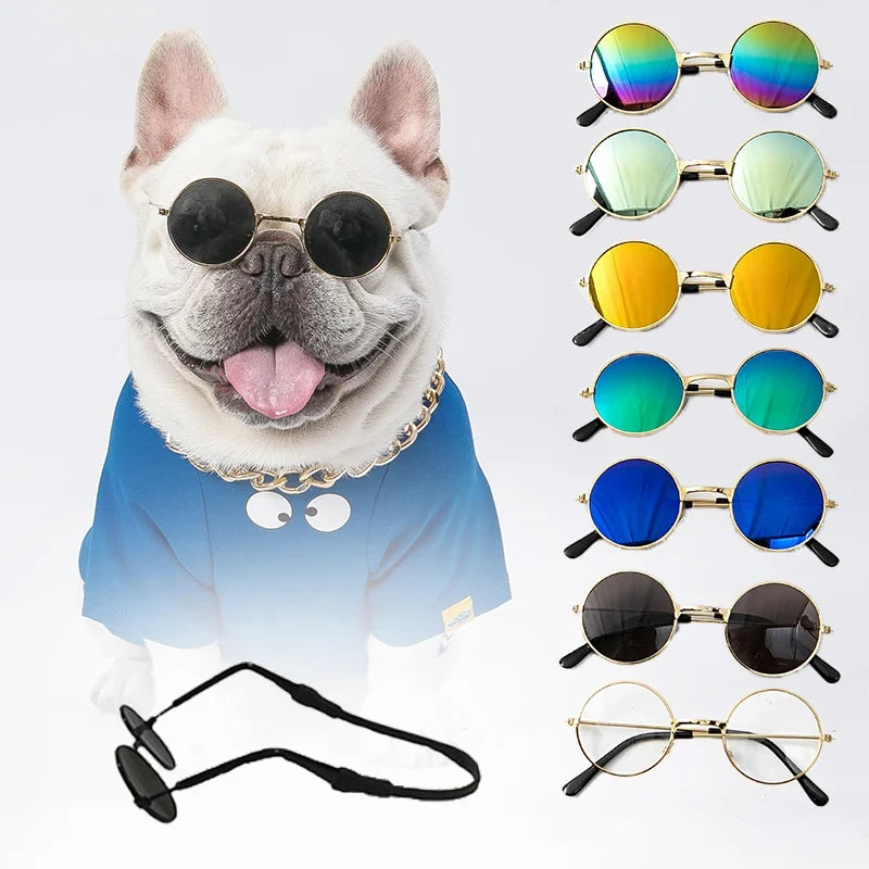 Vintage Round Pet Glasses for Dogs & Cats | Photo Props