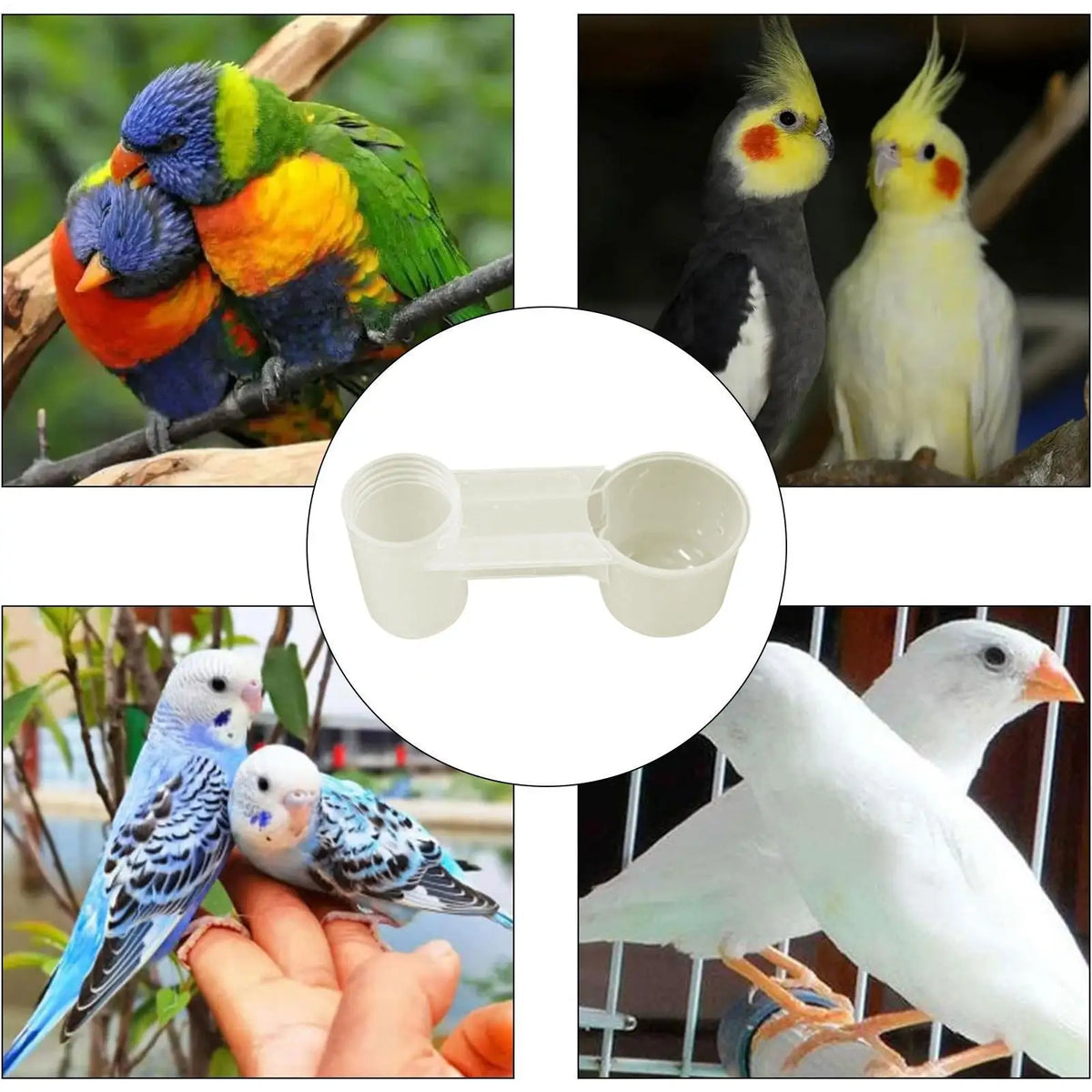 Double-Port Bird Water Dispenser – Splash-Proof Drinker Cup