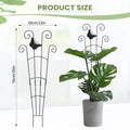 Climbing Plant Trellis 76cm – Garden Vine & Flower Support