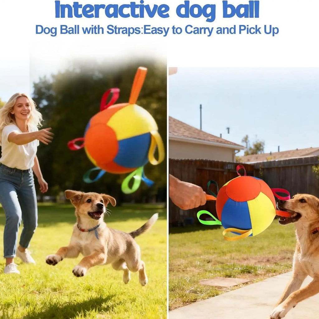 Dog Herding Ball with Handle – Tear-Resistant Inflatable Toy