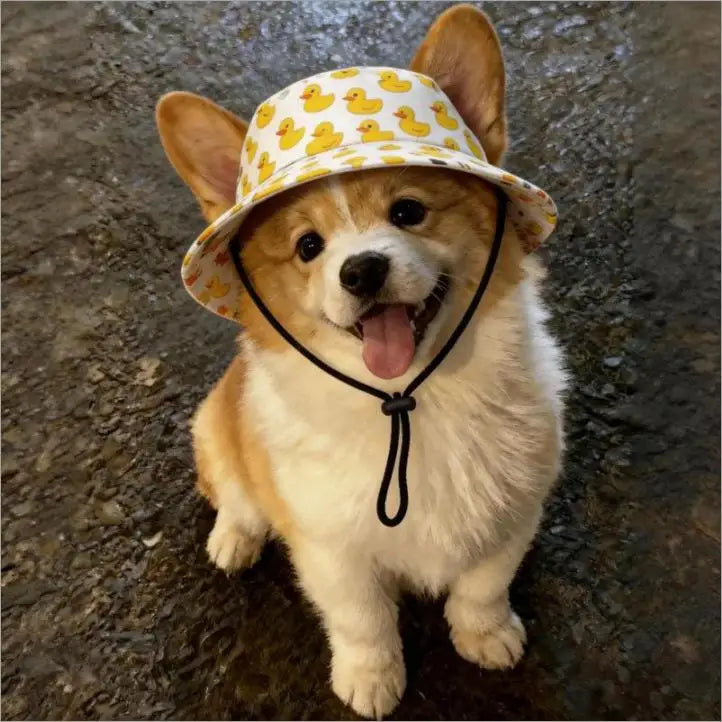Adjustable Dog & Cat Sun Hat – UV Wide Brim Pet Cap