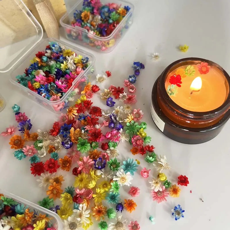 Dried Gypsophila Flowers for Candle, Soap & Resin Crafts