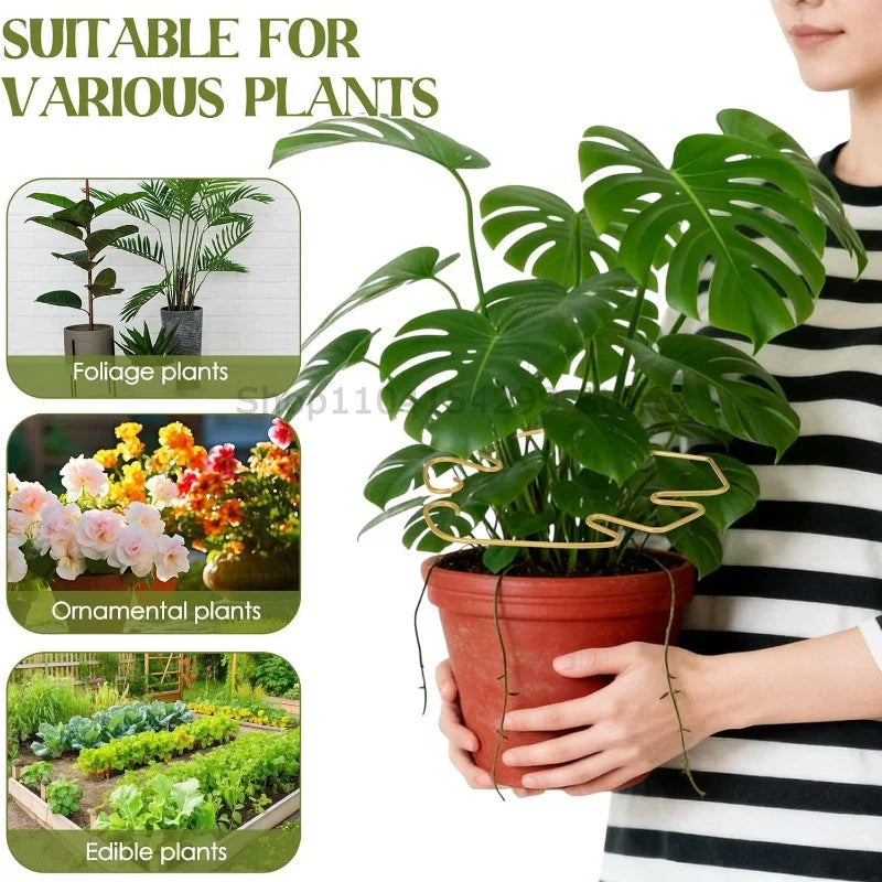 Large Monstera Plant Support Frame – Stem Climbing Stabilizer