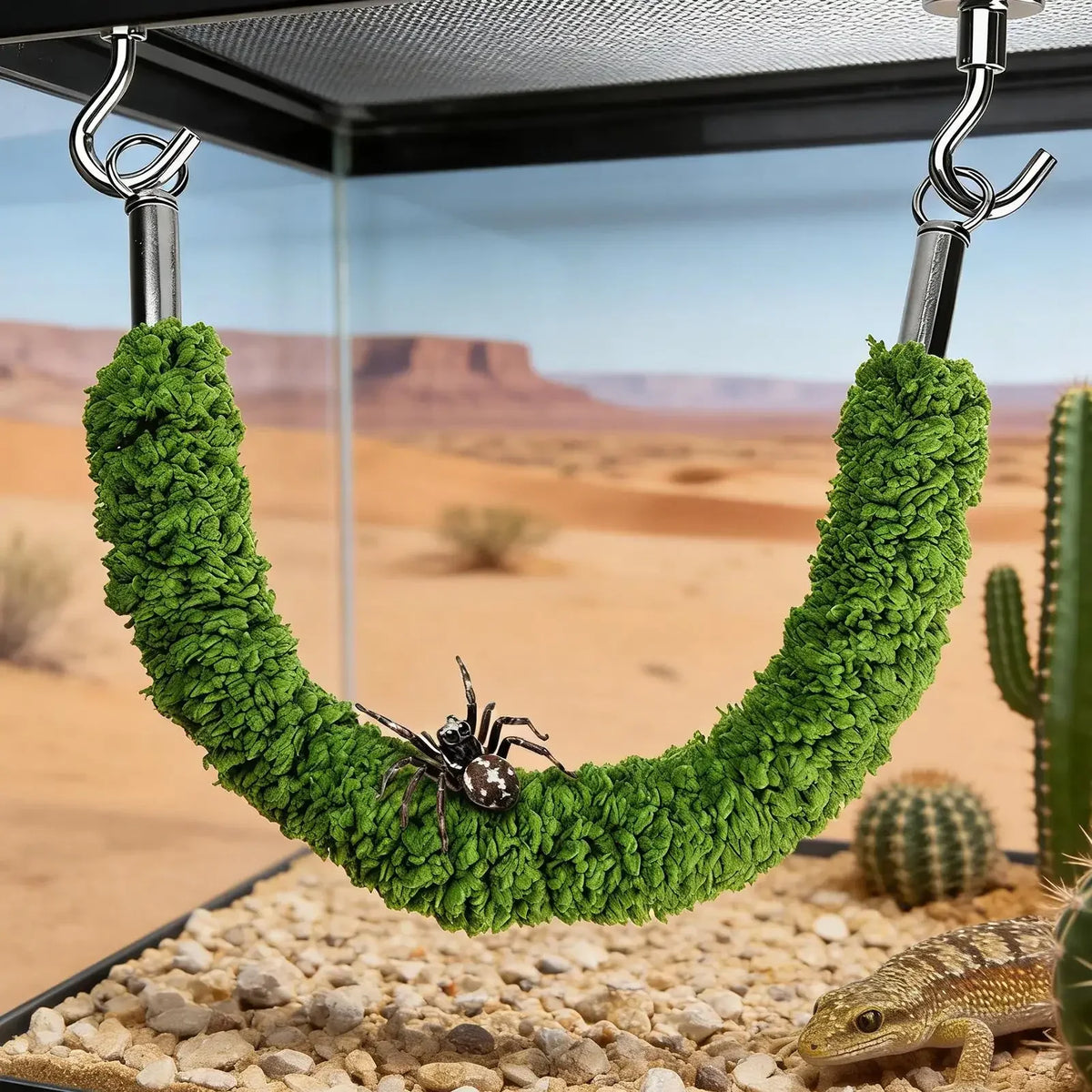 Terrarium Climbing Bridge Swing | Spider, Gecko & Hermit Crab