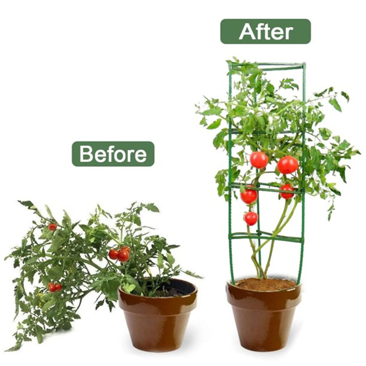 Garden Vegetable Stakes Plant Cages Support Growth Anti Overturning