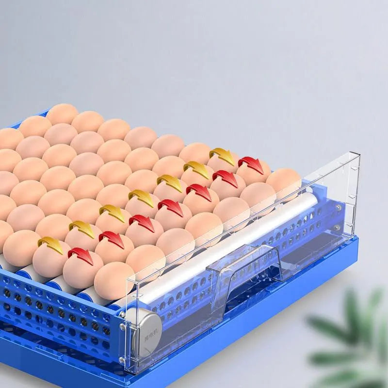 132-Egg Automatic Incubator – Chicken, Duck, Quail & Goose