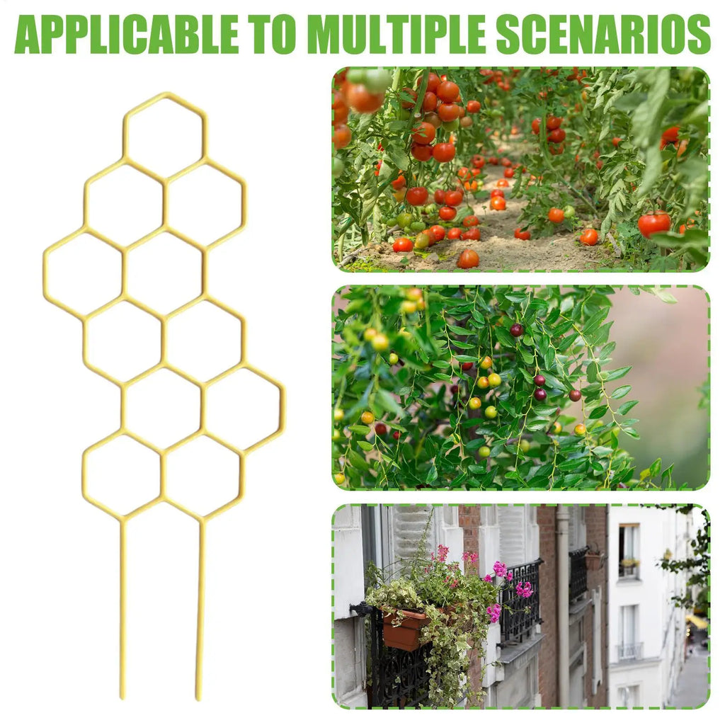Rustproof Plastic Plant Trellis for Potted Vines & Flowers