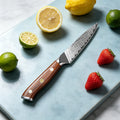67-Layer Damascus Steel Paring Knife – Sharp Kitchen Chef Knife