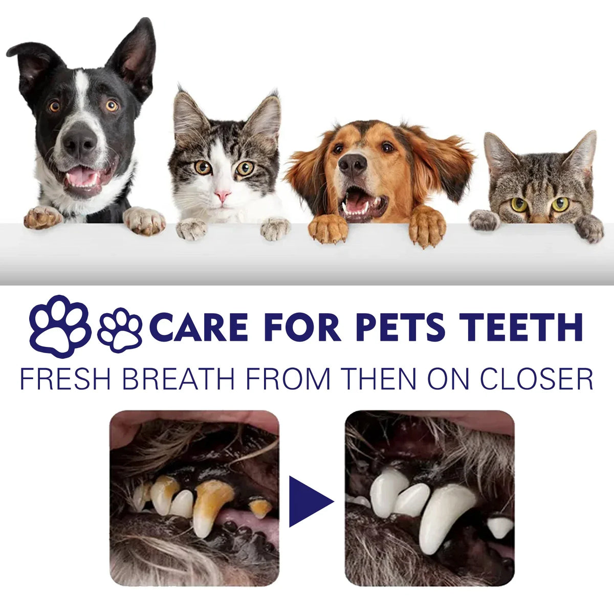 YEGBONG Pet Toothpaste – Dog & Cat Whitening Oral Care 50g