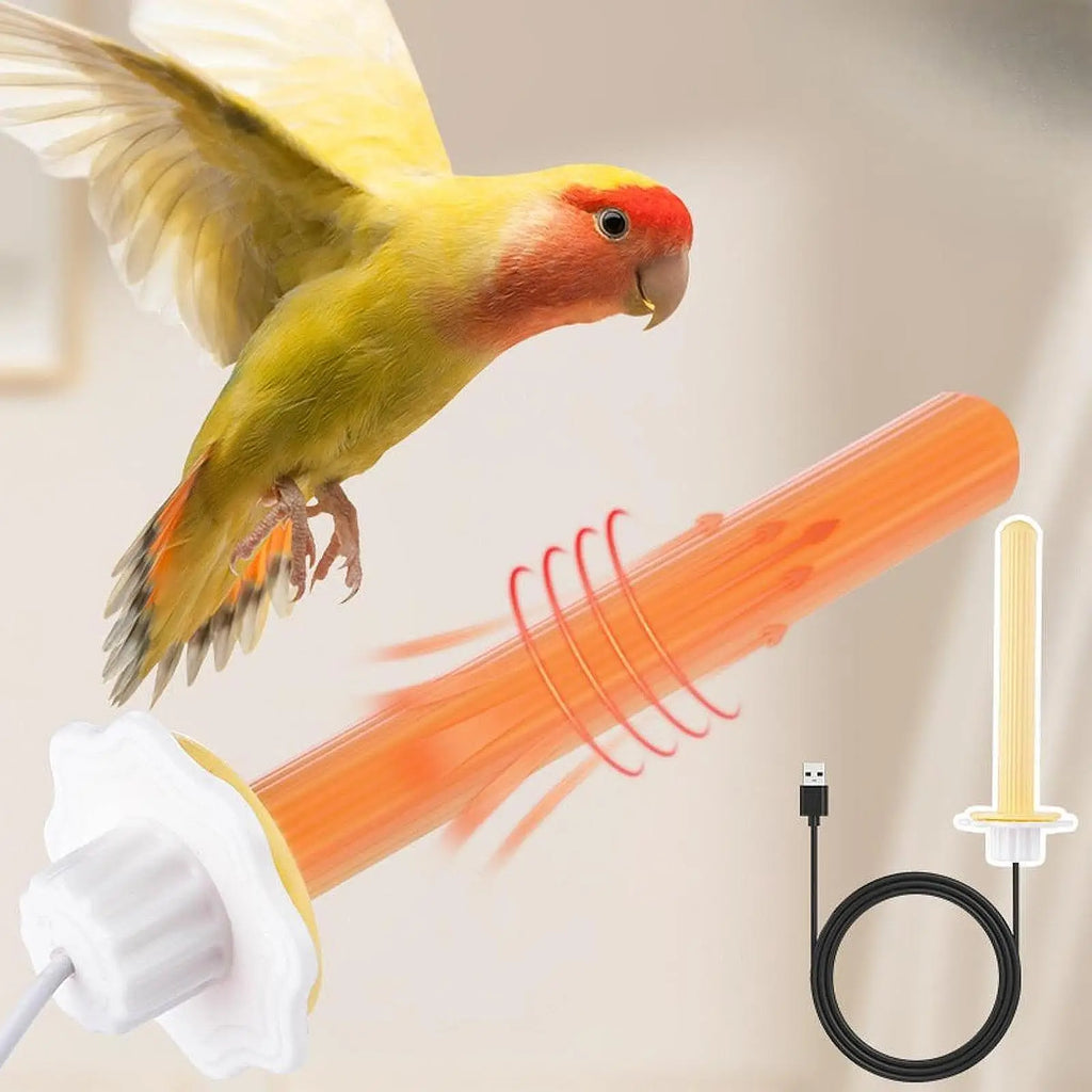 Heated Bird Perch Stand USB Warmer for Parrots & Budgies