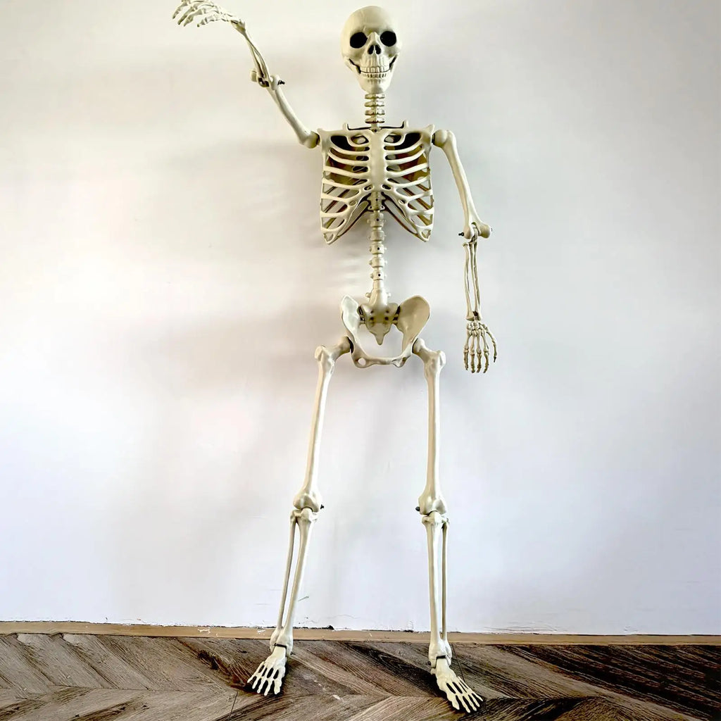 Life-Size Halloween Skeleton with Posable Joints | Haunted Decor