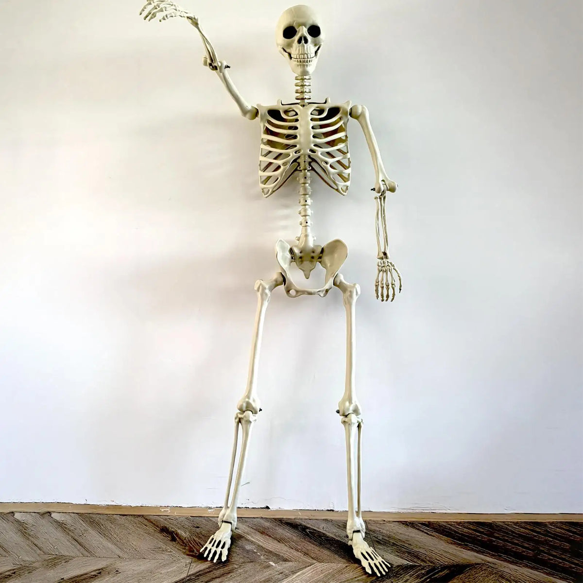Life-Size Halloween Skeleton with Posable Joints | Haunted Decor