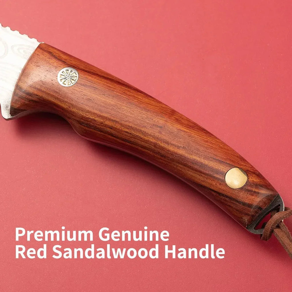 Stainless Steel Grafting Knife – Bark & Bud Garden Tool