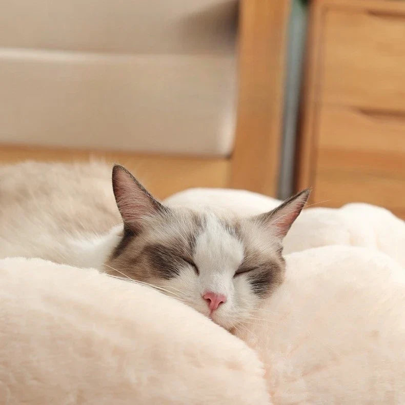 All Season Plush Cat Bed Neck Guard Flower Shaped Round Pet Cats