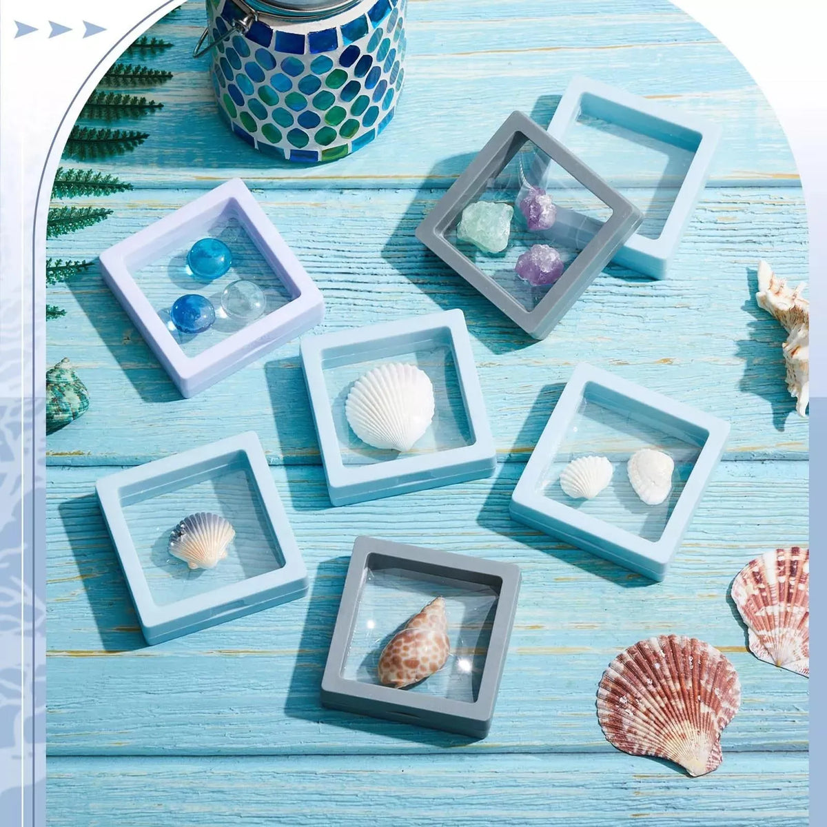 3D Floating Seashell Display Box | Acrylic Craft Organizer Case