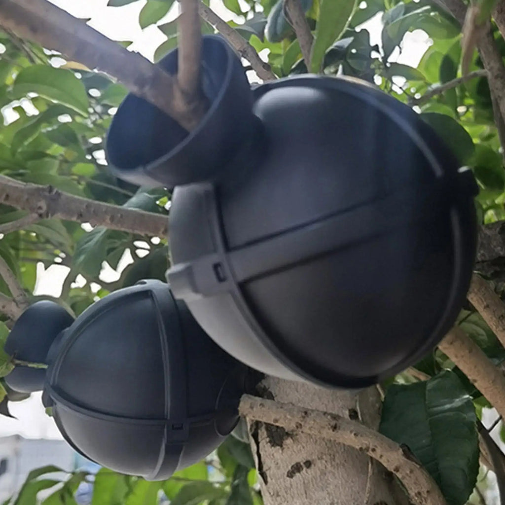 Plant Rooting Ball Propagation Box – Reusable Grafting Pod