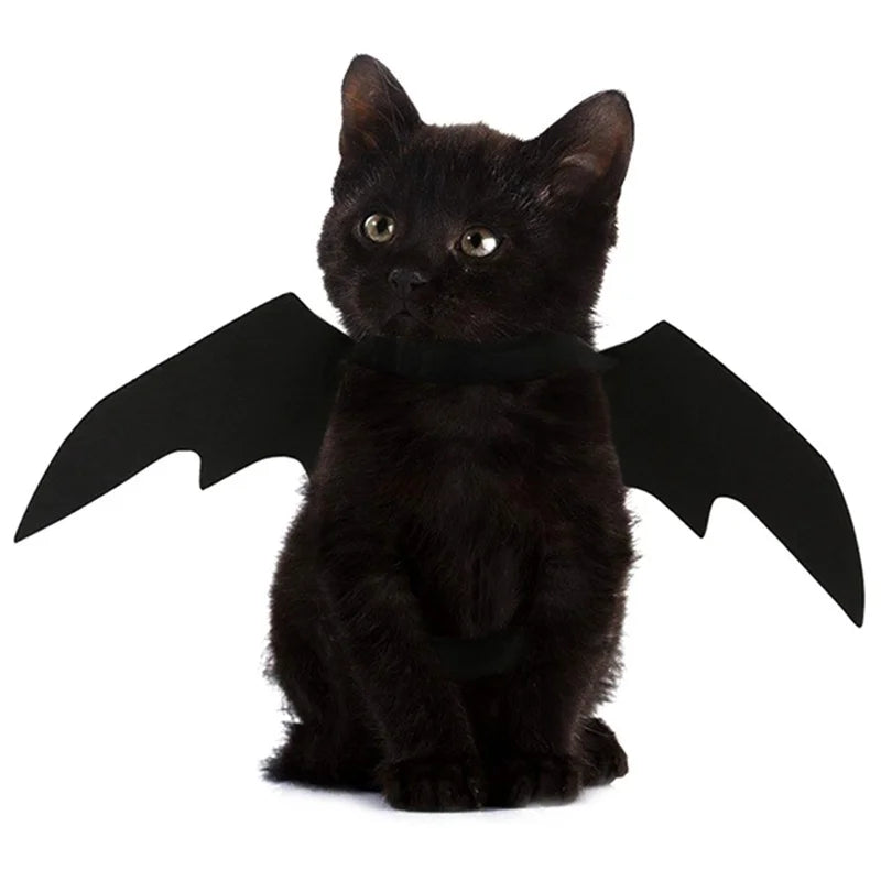 Halloween Bat Wings Harness Costume for Cats & Dogs